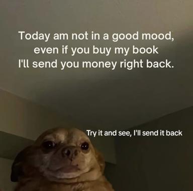 A grumpy author in dog form: "Not in a good mood, even if you buy my book I'll send the money back" — paired with a small dog's hilariously serene face delivering the punchline.
