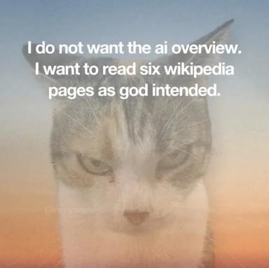 Cat meme about rejecting AI summaries in favor of reading raw Wikipedia—a sardonic take on information literacy in the age of LLMs.