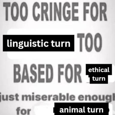 Meme nesting three philosophical "turns" (linguistic, ethical, animal) as progressively cringe and morally inadequate — a deadpan riff on academic self-flagellation.