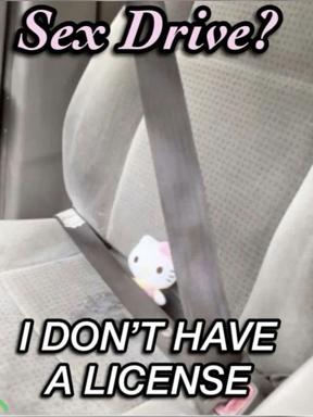 A small white cat wedged between someone's legs in a car, with the caption "Sex Drive? I don't have a license" — a double-entendre joke about driving without authorization.