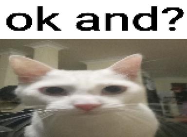 A white cat with a flat, unimpressed expression beneath pixelated text reading "ok and?" — the classic reaction to pointless information.