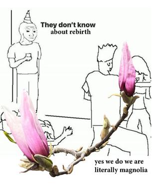 Wojak-style figures discover they are reincarnations of magnolia flowers, a deadpan commentary on Buddhist rebirth doctrine meeting botanical taxonomy.