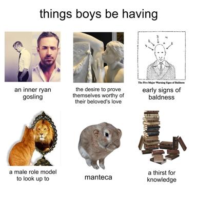 A six-panel template meme cataloging stereotypical masculine behaviors and insecurities — yearning, emotional labor, vanity anxieties, role-model hunger, neurotic introspection, and intellectual posturing.