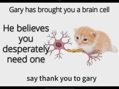 A wholesome hamster-and-neuron meme celebrating a well-meaning creature's gift of cognitive support, with deadpan gratitude.