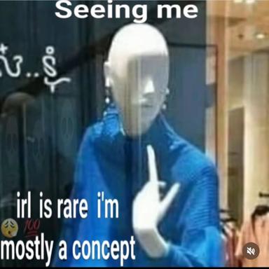Two-panel meme: "Seeing me" / "irl is rare i'm mostly a concept" — figure in blue jacket with intentionally blank face, riffing on the gap between online presence and embodied selfhood.