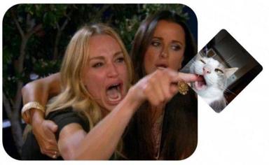 Two women excitedly react and point at a bored, rotated photograph of a cat — the classic "people enthusiasm vs. unimpressed subject" meme format.