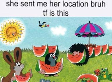 Summer picnic meme: cartoon animals share watermelon slices in a pastoral idyll; absurdist reaction joke to an innocuous location share.