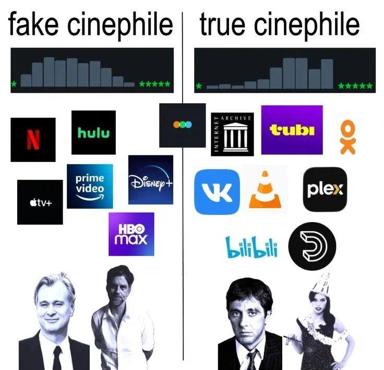 Two-panel comparison meme: mainstream streaming services ("fake cinephile") vs. arthouse/niche platforms ("true cinephile"), gatekeeping cinema taste through service choice.