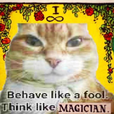 A cat with an infinity pendant confronts you: behave foolishly, think esoterically. Garish occult meme energy meets grumpy tabby.