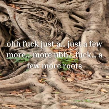 Tree roots shot with overlaid text about compulsive repetition — a documentary-nature image reframed as dark relatable humor about wanting "just a few more."