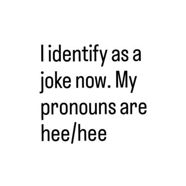 Minimalist text meme with a deadpan quip about pronouns and self-identification through irony.