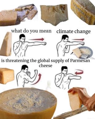 A wojak meme on the absurdist threat to Parmesan supply: a man's dawning horror at discovering climate change is endangering his cheese.