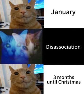 A four-panel cat meme about New Year's temporal collapse: recognizing it's January, dissociating into the void, then the dread of imminent Christmas.