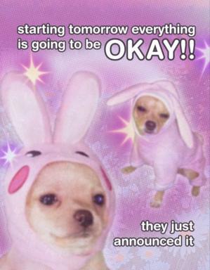 Dogs swaddled in vaporwave pink announce the collapse of tomorrow's optimism—the universe said it first.