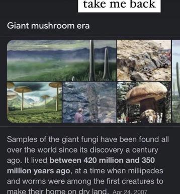 Speculative paleobiology meme: a six-panel montage of giant fungal ecosystems from the Paleozoic, with the nostalgic plea "take me back" and educational text on Prototaxites colonization.