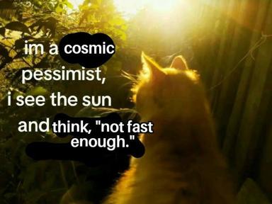 A silhouetted cat backlit by golden sunlight, pondering the universe's insufficient speed of decay with cosmic pessimism.