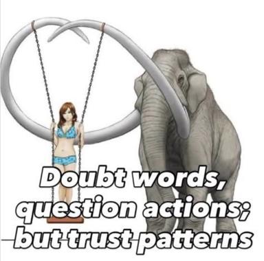 A woman on a swing held aloft by an elephant's trunk, accompanying text about trusting patterns over words and actions—a philosophical absurdist meme