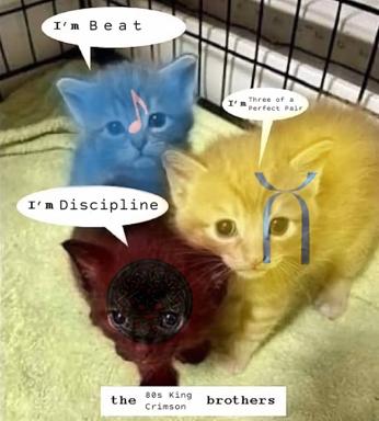 Three cats color-coded to represent King Crimson band members from their 1984 album "Three of a Perfect Pair," each displaying a distinct musical persona.