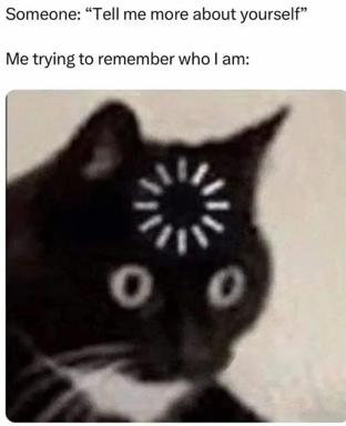 A black cat with a loading spinner superimposed on its head, used to express the feeling of blanking when asked personal questions.