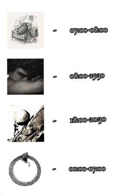 A four-panel dark humor meme depicting daily existence through animal symbols: spider in bed at dawn, sleeping face during work hours, dung beetle rolling its burden through evening, and ouroboros consuming itself at night—a cyclical commentary on work, sleep, and endless repetition.