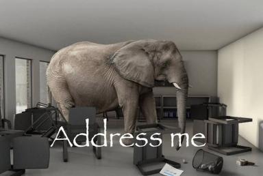A photorealistic elephant stands amid office furniture in a minimalist gray workspace, with text overlay playing on the idiom "elephant in the room"—here interpreted literally as a demand to address the absurd animal present.