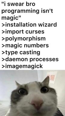 Programmer humor meme: list of programming terms that sound magical but are real technical concepts (installation wizard, import curses, daemon processes, etc.), paired with a close-up of a wide-eyed, astonished cat reaction photo.