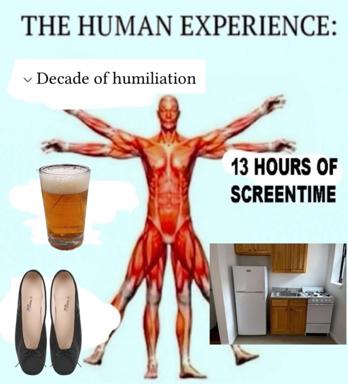 A darkly humorous collage contrasting the grandiose phrase "The Human Experience" with banal reality: a decade of humiliation, 13 hours of screentime, and mundane objects like beer, formal shoes, and kitchen appliances.