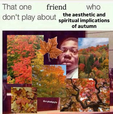 A meme about someone who treats autumn with deep aesthetic and spiritual seriousness, paired with a chaotic mood-board collage of fall foliage and a contemplative person's face.
