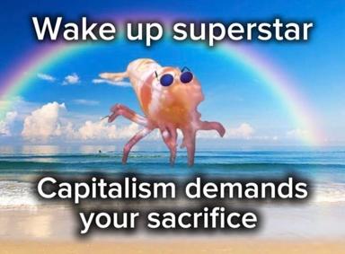 A surreal image-macro meme featuring a sunglasses-wearing octopus/squid creature posing on a beach with a rainbow, contrasting innocent optimism with a dark capitalism critique.