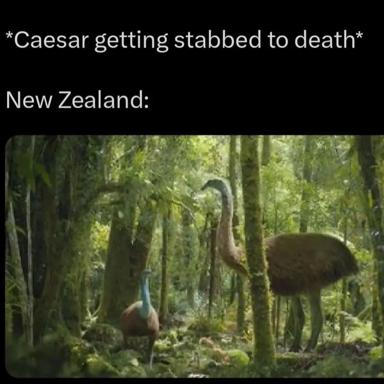 Meme overlaying a historical event with indifferent New Zealand wildlife, playing on geographic isolation and cultural detachment.