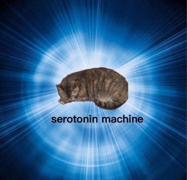 A tabby cat rendered as divine, radiating spiritual light with the caption "serotonin machine" — a wholesome meme treating feline companionship as happiness itself.