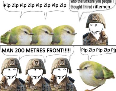 A four-panel comic meme. Three small olive-yellow songbirds chirp "Pip Zip" at a crudely drawn soldier in a helmet and plate carrier, who yells that he thought he hired riflemen. Three soldiers then shout "MAN 200 METRES FRONT!!!!!!" at a single bird perched on a stick, which answers "Pip Zip Pip Zip Pi".