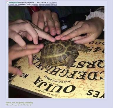 A tortoise stands in for the planchette on a Ouija board, with several people's fingertips resting on its shell. A 4chan-style greentext caption underneath jokes that the board is "spelling something" and reads out the letters G-I-F-L-E-T-U-C-E.
