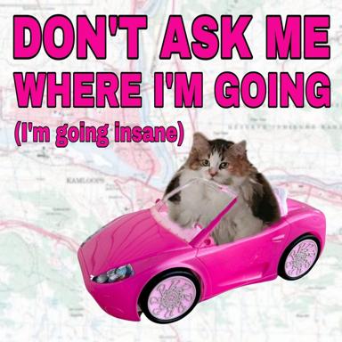 A kitten in a hot-pink convertible declares it's going insane, posed over a faded map with early-2000s maximalist energy.