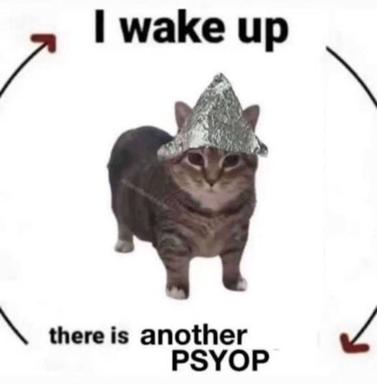 Tabby cat in aluminium foil hat realising there's "another PSYOP" upon waking — spiral loop of anxious mornings.