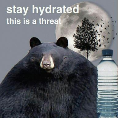 Bear confronts you with an existential demand wrapped in wellness advice: stay hydrated or face surreal lunar reckoning.