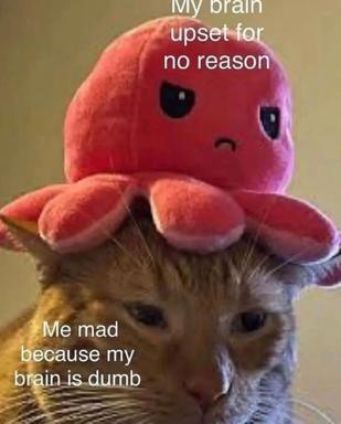 A stacked meme pairing a sad red digital blob (representing irrational emotions) above an angry cat (the self aware observer), riffing on the gap between cause and response in mental spirals.