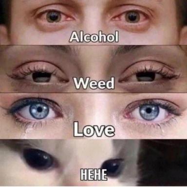Comparative eye-dilation meme ranking four states (alcohol, weed, love, mystery) by pupil response — a joke about what each makes your eyes look like.