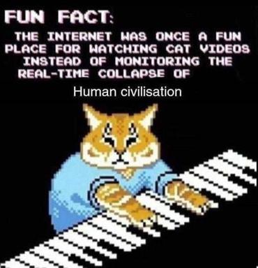 A pixelated cat wearing a blue shirt plays a keyboard in an existential mockery of internet culture's descent into absurdity.
