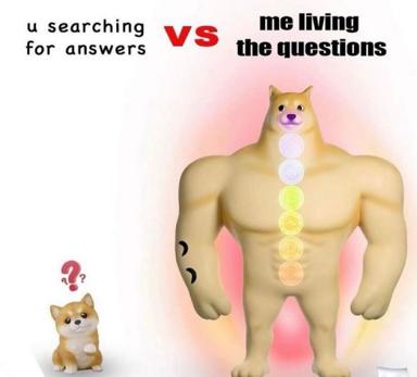 A ripped Shiba Inu with chakra points confronts a confused puppy: anxious answering vs peaceful questioning.
