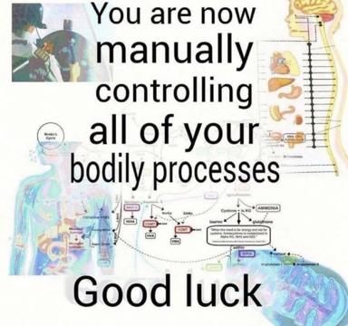 Deadpan anatomy meme: "You are now manually controlling all of your bodily processes. Good luck." Over dense metabolic flowcharts and organ illustrations.