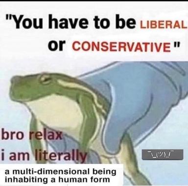 Frog in blue shirt rejects the liberal-or-conservative binary by claiming existence as a "multi-dimensional being inhabiting a human form."
