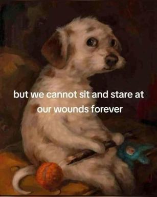 A contemplative portrait of a small dog against Old Master darkness, with text about not dwelling on wounds. The juxtaposition of classical painting and contemporary grief wisdom creates deadpan wisdom-meme energy.