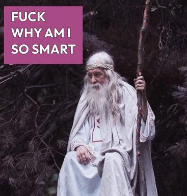 A wizard-coded character from fantasy film laments his own intelligence. Pink text box overlaid on a forest scene.