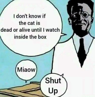 A man pontificates about Schrödinger's cat while the cat tells him to shut up—absurdist take on quantum mechanics that ignores the philosophy entirely.