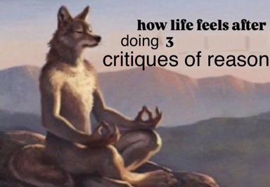 A meditative wolf sits in enlightened repose overlooking mountains, captioned with self-aware humor about the mental toll of engaging with complex theory.