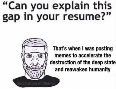 A wojak-style figure responds to a job interview question about resume gaps by claiming he was posting memes to overthrow the state and awaken humanity.