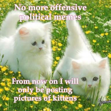 Two white kittens in a spring meadow vow to retire from political discourse entirely.