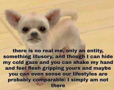 A small cream-coloured Chihuahua with a blank, detached expression overlaid with existential text: "there is no real me, only an entity, something illusory..."