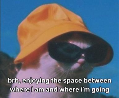 A cat in a baseball cap and dark sunglasses savours the present moment under a blue sky—a meditation on liminal peace.